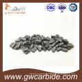 High Quality of Tungsten Carbide Brased Tips with Various Size